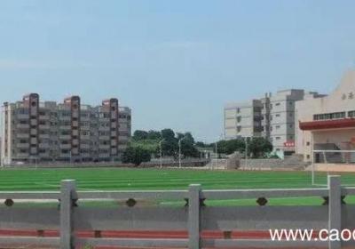 安海鸿江中学校长是谁