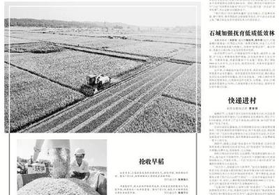 90后新农人蹚出绿色致富路