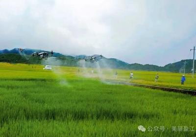 盈江弄璋：村企合作带富坝区老百姓