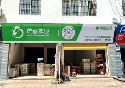 快递降价 包装免费 华坪芒果电商销售成本大降