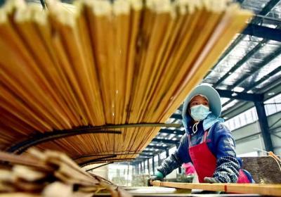 加速市场潜力释放：“以竹代塑”产品名录确定，含25种