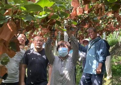 科技特派员钟彩虹：千里送技育出“致富果”