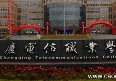 重庆电信职业学院升本率