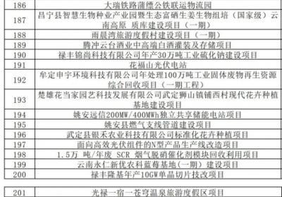 总投资额近3500亿元！云南公布382个重点民间投资项目