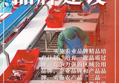 海报丨@农民朋友 河南助农政策守护你