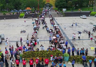实名羡慕！芒市50吨文明果实免费大派送！