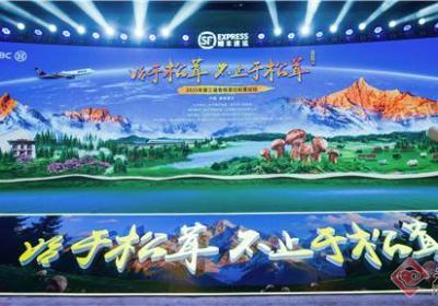 “一日达全国、隔夜达全球” 2025年香格里拉松茸季启动