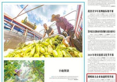 横峰助力企业加速转型升级