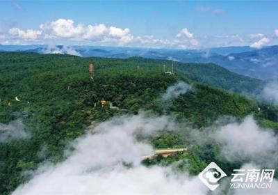 【早安云南·云游】武定狮子山：揽壮阔云海，享静谧山林