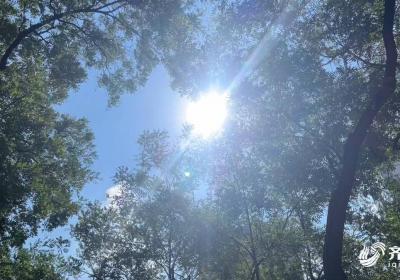 微山42.7℃！山东高温天气进入鼎盛阶段 8地气温进入全国最热前10名