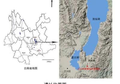 世界罕见！云南出土30万年前木器！