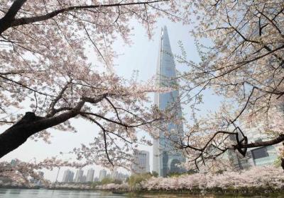 韩国考虑对中国团体游客实施免签政策？学者观点解读
