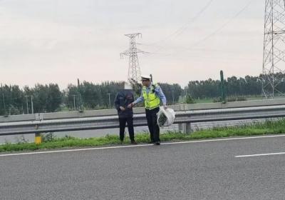 惊险！老人中央隔离带挖野菜 民警及时处置除隐患