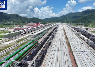 免签通关更便利 中老铁路签发首枚贴纸式临时入境许可