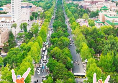 直播预告｜今天上午10点，带你新民大街开街探秘！