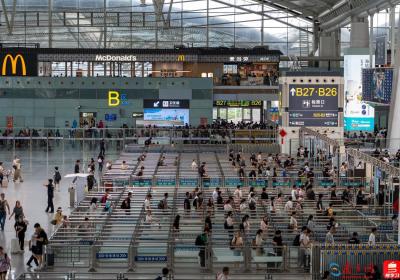 2025年全国铁路暑运启动，广铁预计发送旅客1.33亿人次