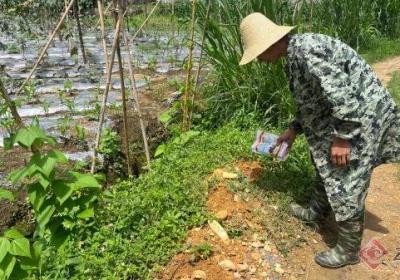 呼声回应｜蚂蚁“入侵”扰生活 达丙社区迅速行动解民忧