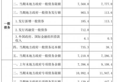 云南近千亿专项债七成化债 偿还企业拖欠账款