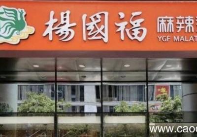 杨国福员工可以染头发吗