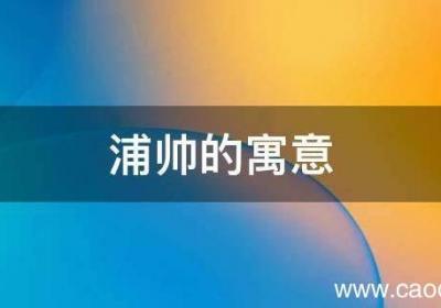 浦帅的寓意