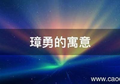 璋勇的寓意