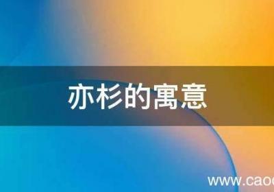 亦杉的寓意