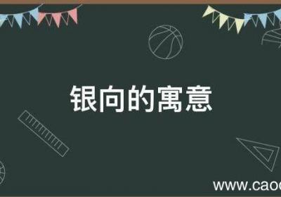 银向的寓意