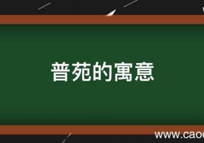 普苑的寓意