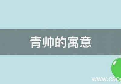 青帅的寓意