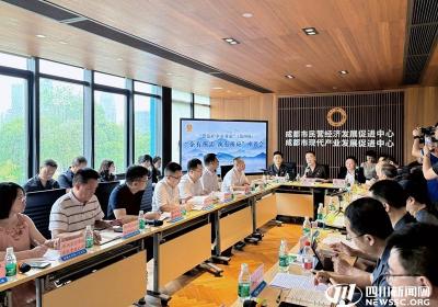 企有所需、执有所应 成都这场座谈会企业面对面向法院院长提需求