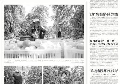 鹰潭高新区加速推进企业“智改数转”