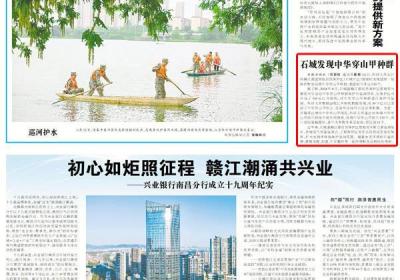 石城发现中华穿山甲种群