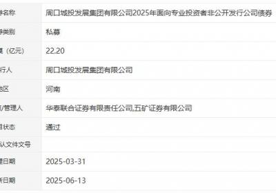 周口城投发展集团拟发行22.2亿元公司债，获深交所通过