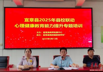麻田学校开展县校联项目 “心理健康教育能力提升” 专题培训活动