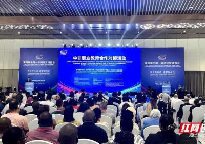 10个合作协议集中签署 中非职业教育合作对接活动在长沙举办