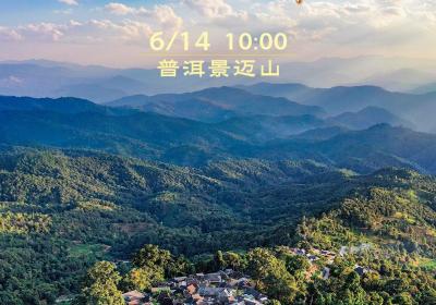 预告 | 《沿着边境看中国》第二季云南篇 6月14日10∶00带您探访普洱景迈山古茶林