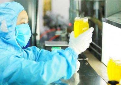 百年甜蜜家：九代传承，蜂蜜行业焕发新生机