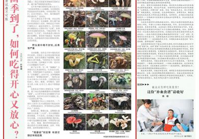 人民日报海外版头条聚焦：云南吃菌季到，如何吃得开心又放心