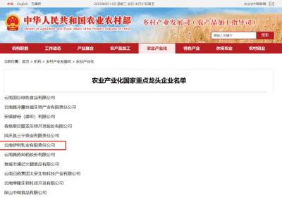 云南伊利荣登国家级农业产业化重点龙头企业榜单