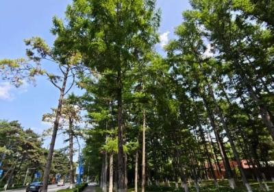 注意！12日夜间到13日白天，我省这些地方有雨