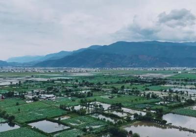 永胜三川：万亩荷花绽放，夏日赏荷正当时