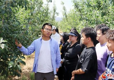 “安宁五校战略联盟”学子红古田区研学 沉浸式探索现代果园夏季管理