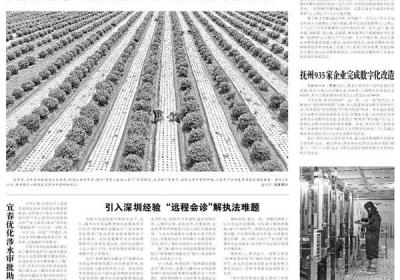 江西首个耕地“山上换山下”试点实施方案通过审核