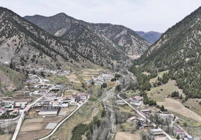【锚定现代化 改革再深化】守护祁连山——青海改革样本观察·祁连山国家公园上