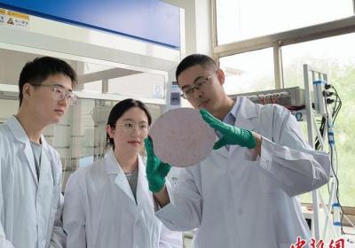 兰州交通大学领跑绿氨赛道 技术突破解减排难题