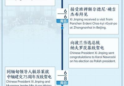 时政微周刊丨总书记的一周6月2日—6月8日