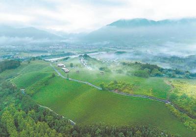 文旅融合助力乡村振兴