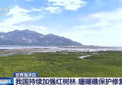 我国海洋能开发利用技术已迈入世界第一方阵