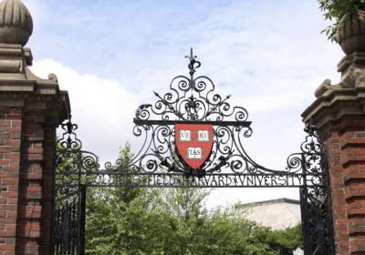 哈佛大学签证政策调整，近期留学美国能否成行？