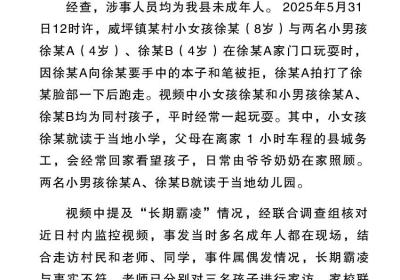 官方通报“8岁女孩遭男孩长期霸凌”：情况与事实不符